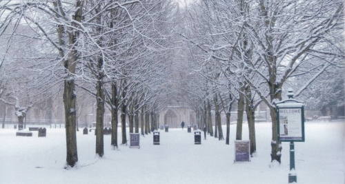 The Outer Close, Winchester Cathedral 
